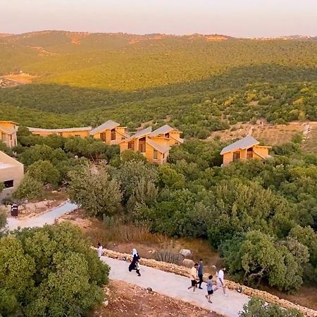 Ajloun Forest Reserve Джераш Екстериор снимка