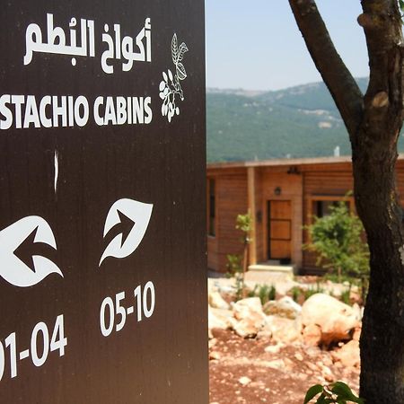Ajloun Forest Reserve Джераш Екстериор снимка