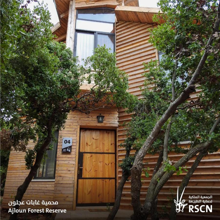 Ajloun Forest Reserve Джераш Екстериор снимка