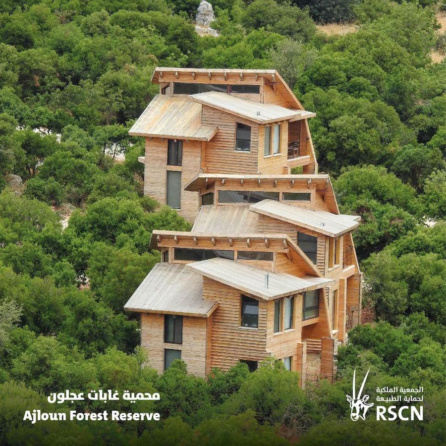 Ajloun Forest Reserve Джераш Екстериор снимка