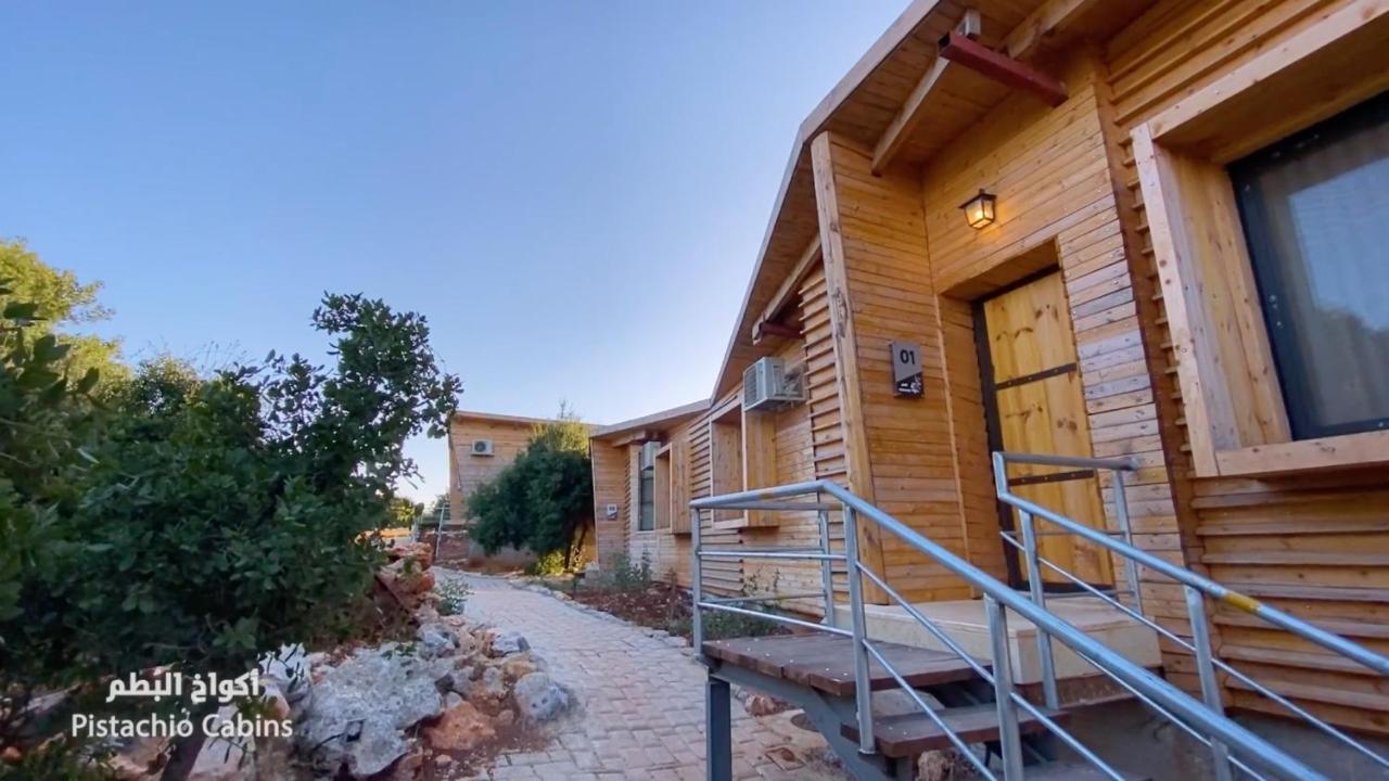 Ajloun Forest Reserve Джераш Екстериор снимка