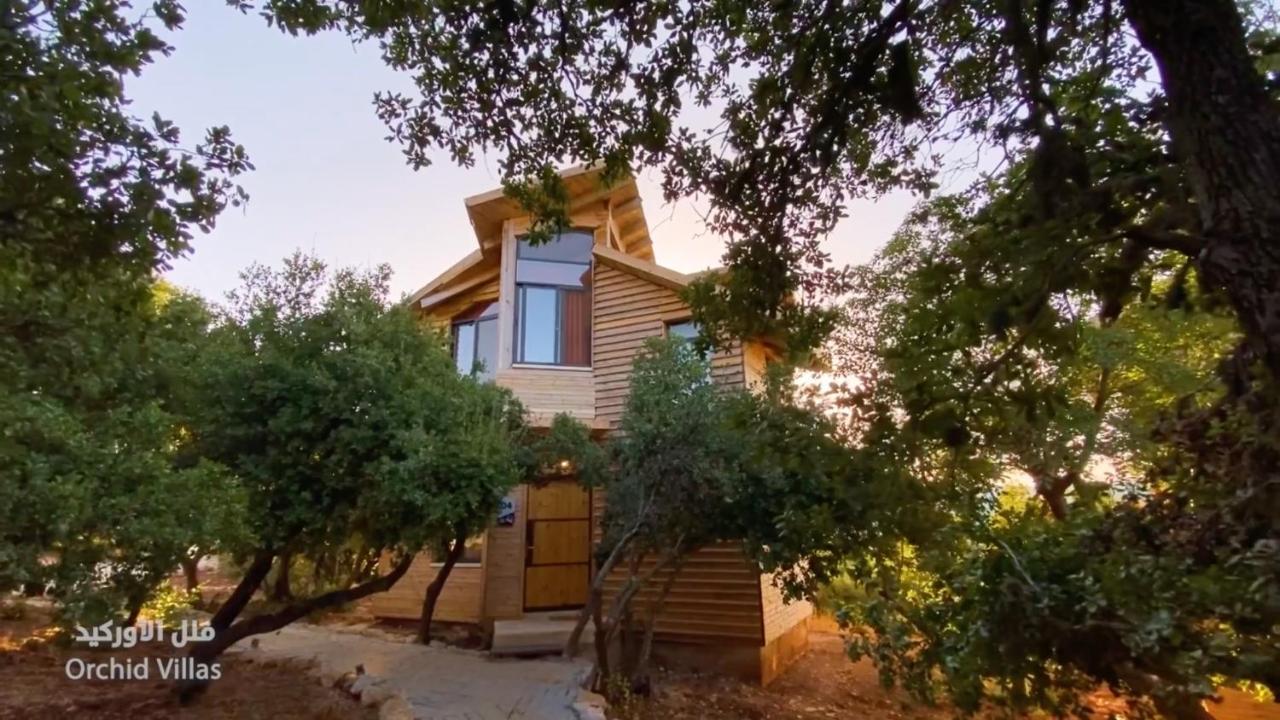 Ajloun Forest Reserve Джераш Екстериор снимка
