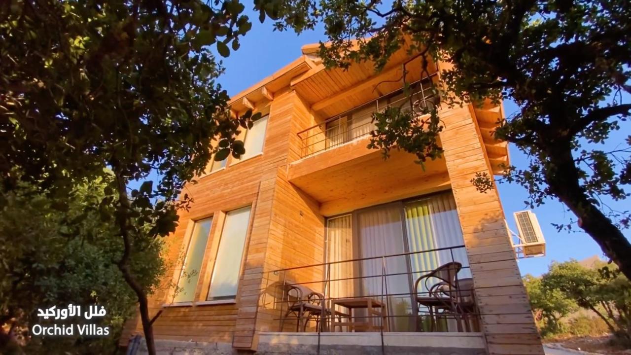 Ajloun Forest Reserve Джераш Екстериор снимка