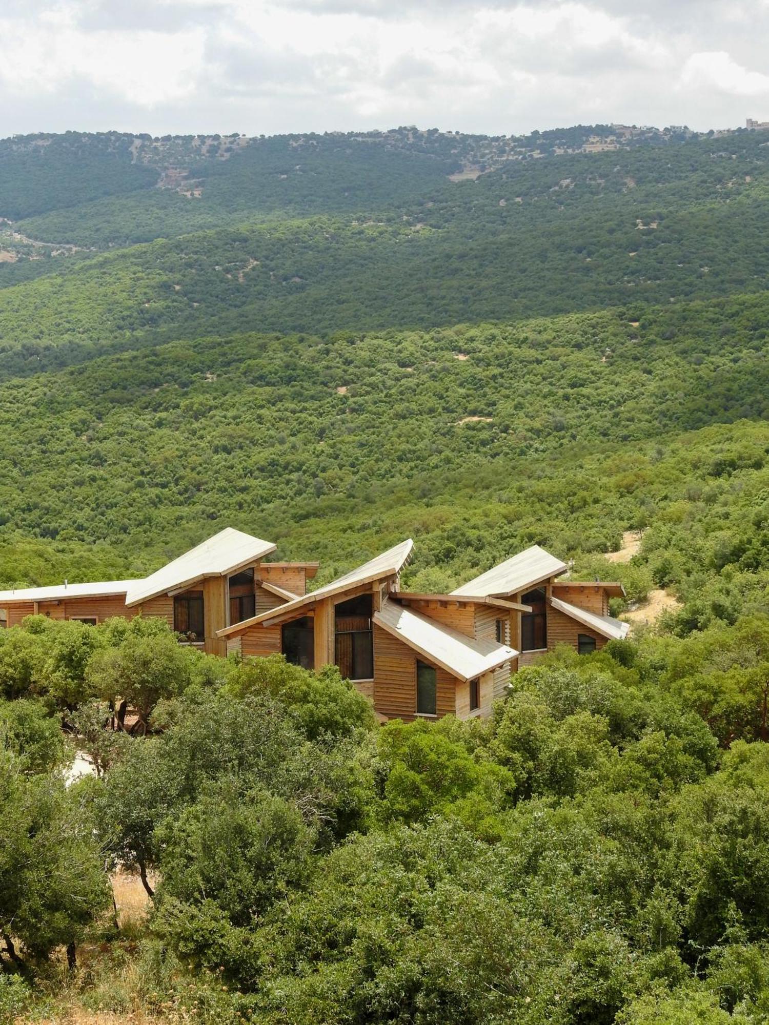 Ajloun Forest Reserve Джераш Екстериор снимка