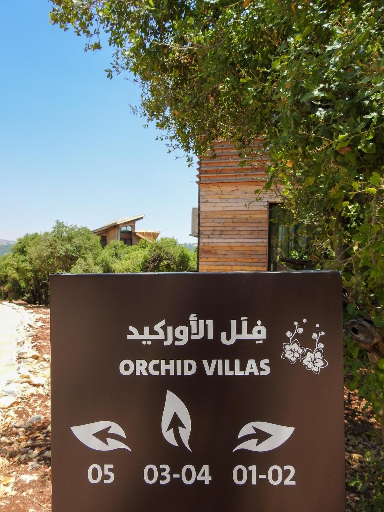 Ajloun Forest Reserve Джераш Екстериор снимка