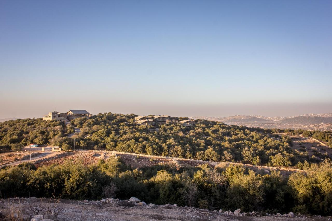Ajloun Forest Reserve Джераш Екстериор снимка
