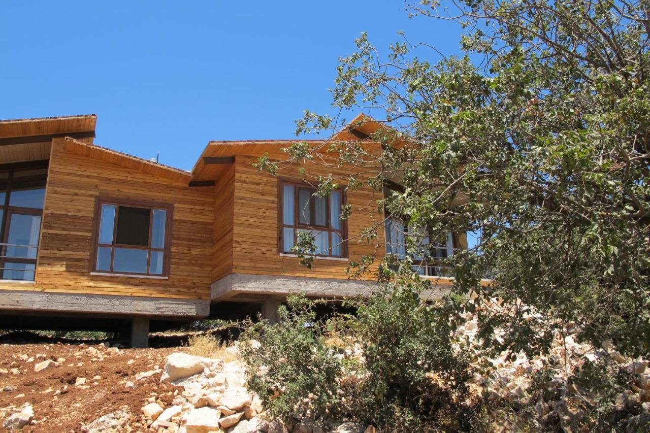 Ajloun Forest Reserve Джераш Екстериор снимка