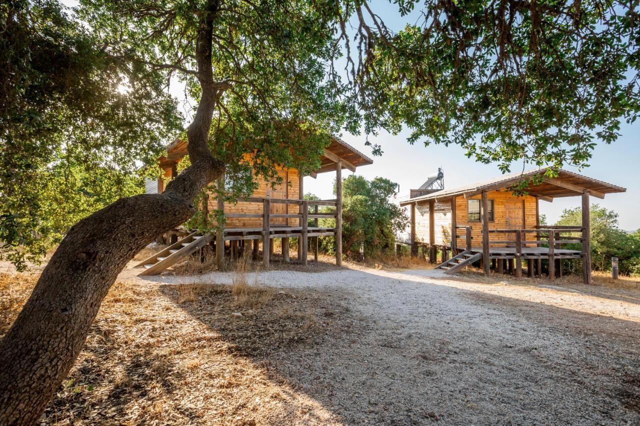 Ajloun Forest Reserve Джераш Екстериор снимка